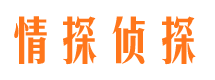 桃山市婚外情调查